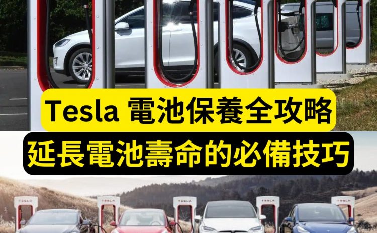  Tesla 電池保養全攻略：延長電池壽命的必備技巧